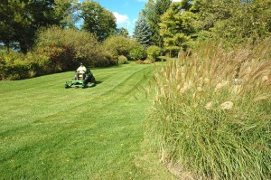 Commercial Landscape Careers in CT - Grass Turf
