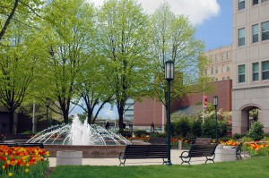 Water Features and Seasonal Landscaping in Corporate Parks