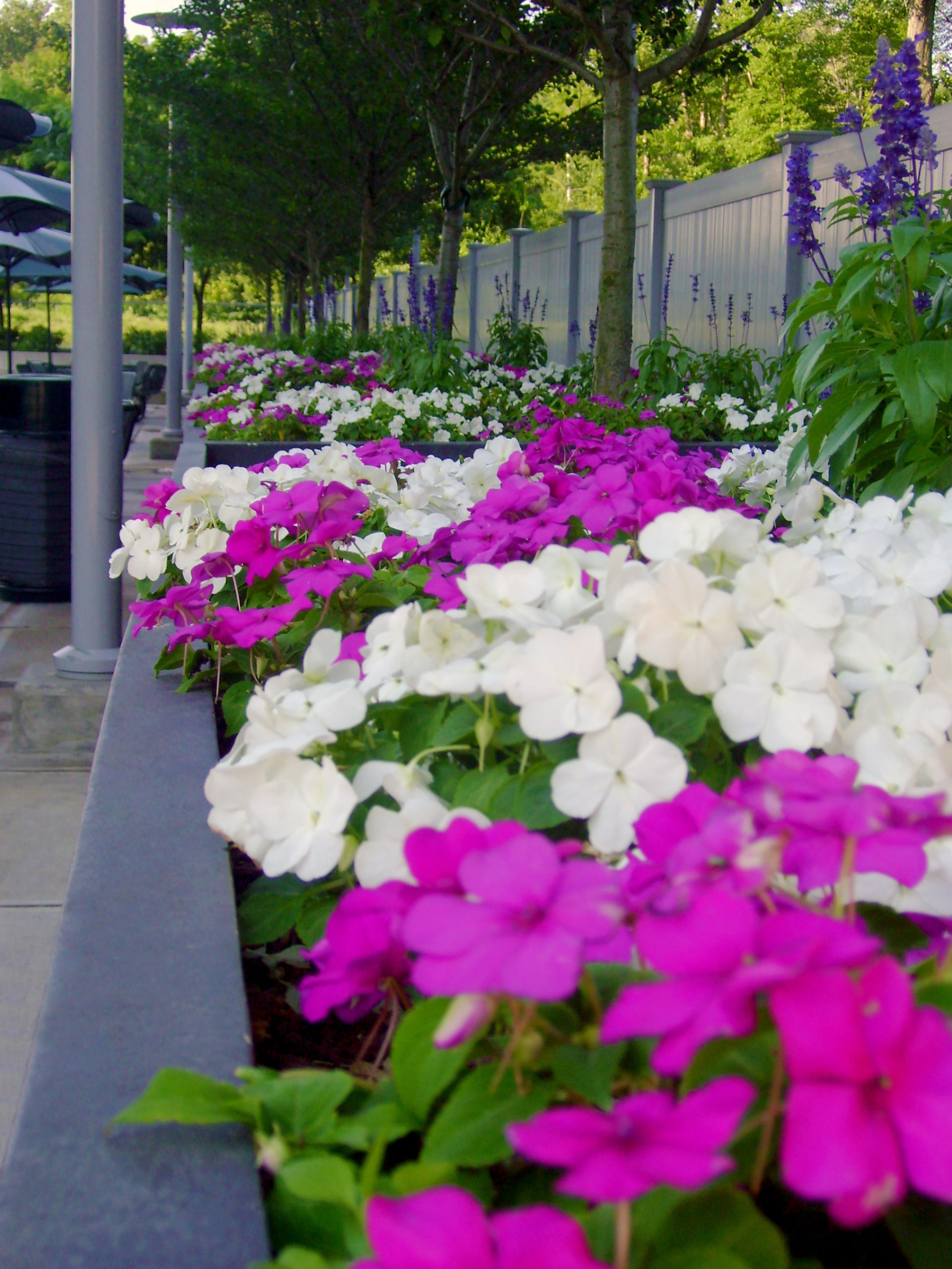 Commercial landscaping services in CT/NY