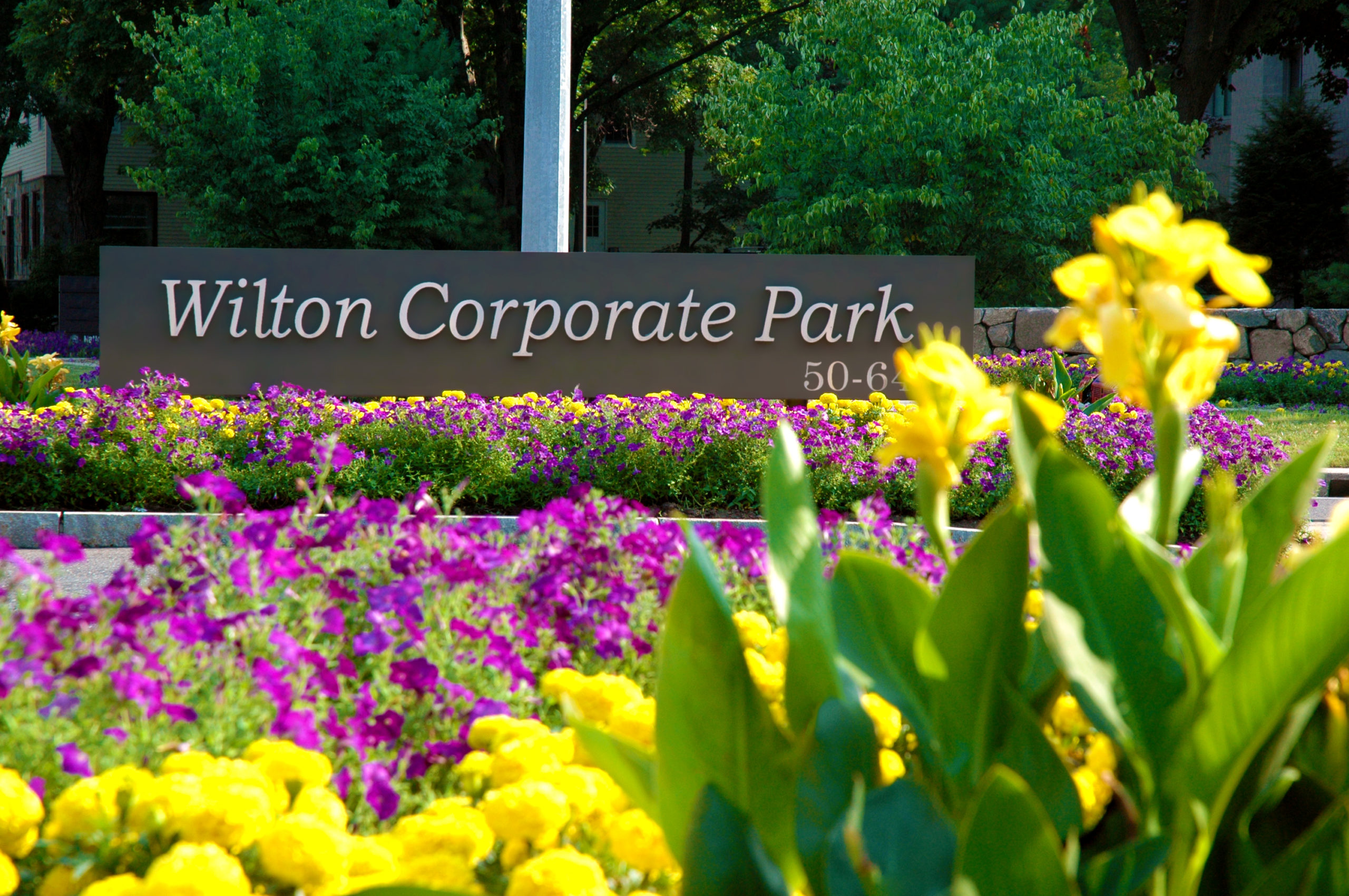 Landscaping Corporate Parks in CT/NY