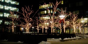 ELM offers seasonal decor services for commercial properties in CT/NY