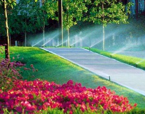 Commercial Irrigation Management by ELM