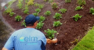 Tech Adjusts Commercial Irrigation System