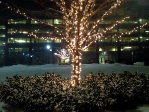 Commercial Seasonal Decor in CT - Tree with Lights
