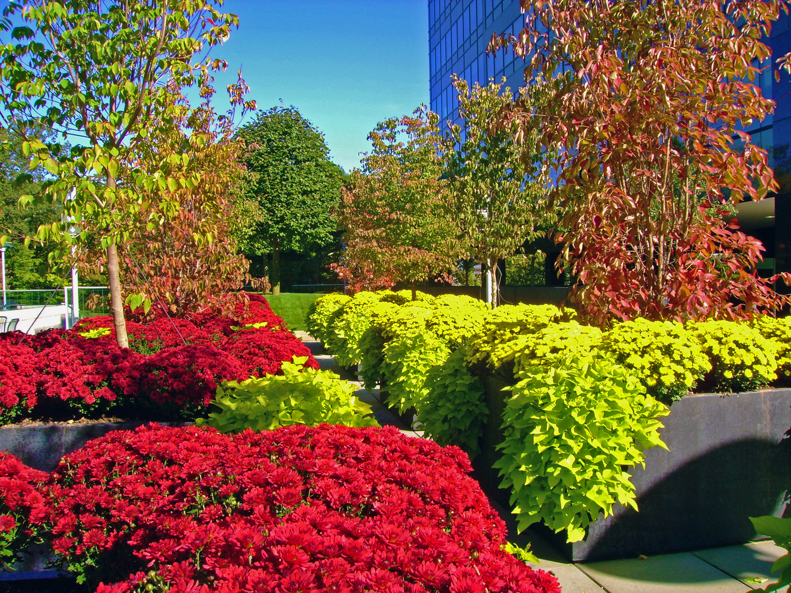 Landscape Management - Seasonal Corporate Planters