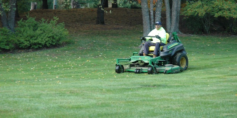 leaf removal in CT