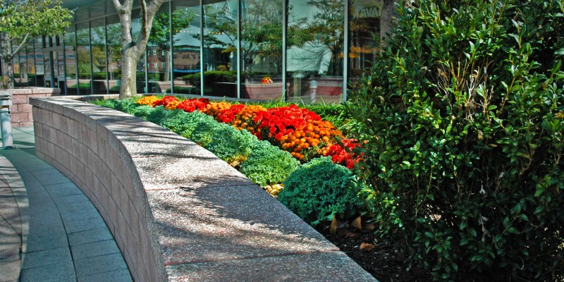 Commercial property landscaping