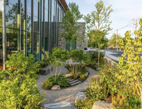 Are you set for spring?  Your ultimate guide to all things outdoors.