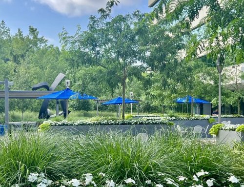 2024 Amenity Report: It’s a Green Light for Outdoor Green Space