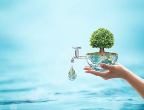 Summer 2020 Outdoor Watering Schedule Returns for Darien, Greenwich, New Canaan, Newtown, Stamford and Westport Connecticut