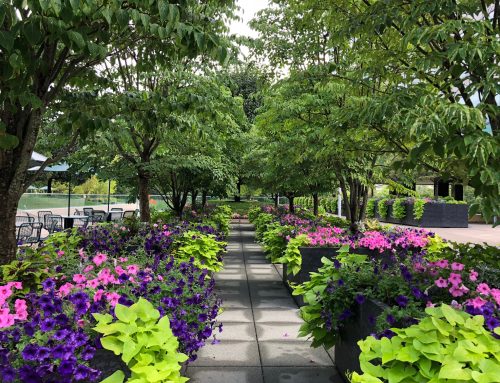 Jordan Skiba, ELM Intern, Seeds His Climb to The Top