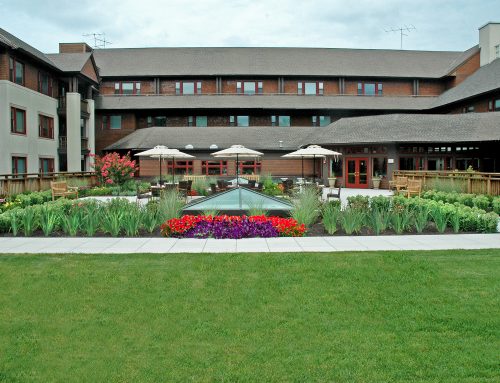 Horticultural Therapy for Better Senior Health