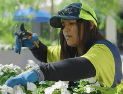 How to make your landscape tough enough, strong enough and healthy enough to weather a long, hot summer.