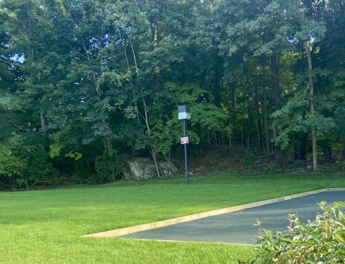Cool Boules! It’s Game-On for Bocce Ball