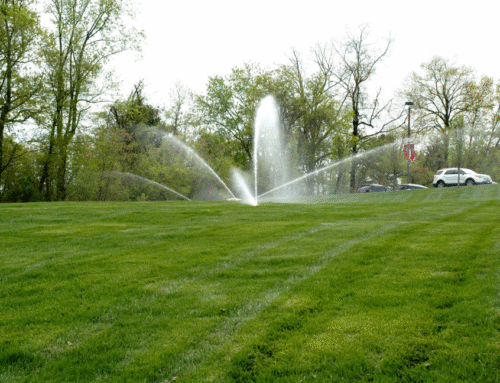 Greener Pastures for Mixed-Use