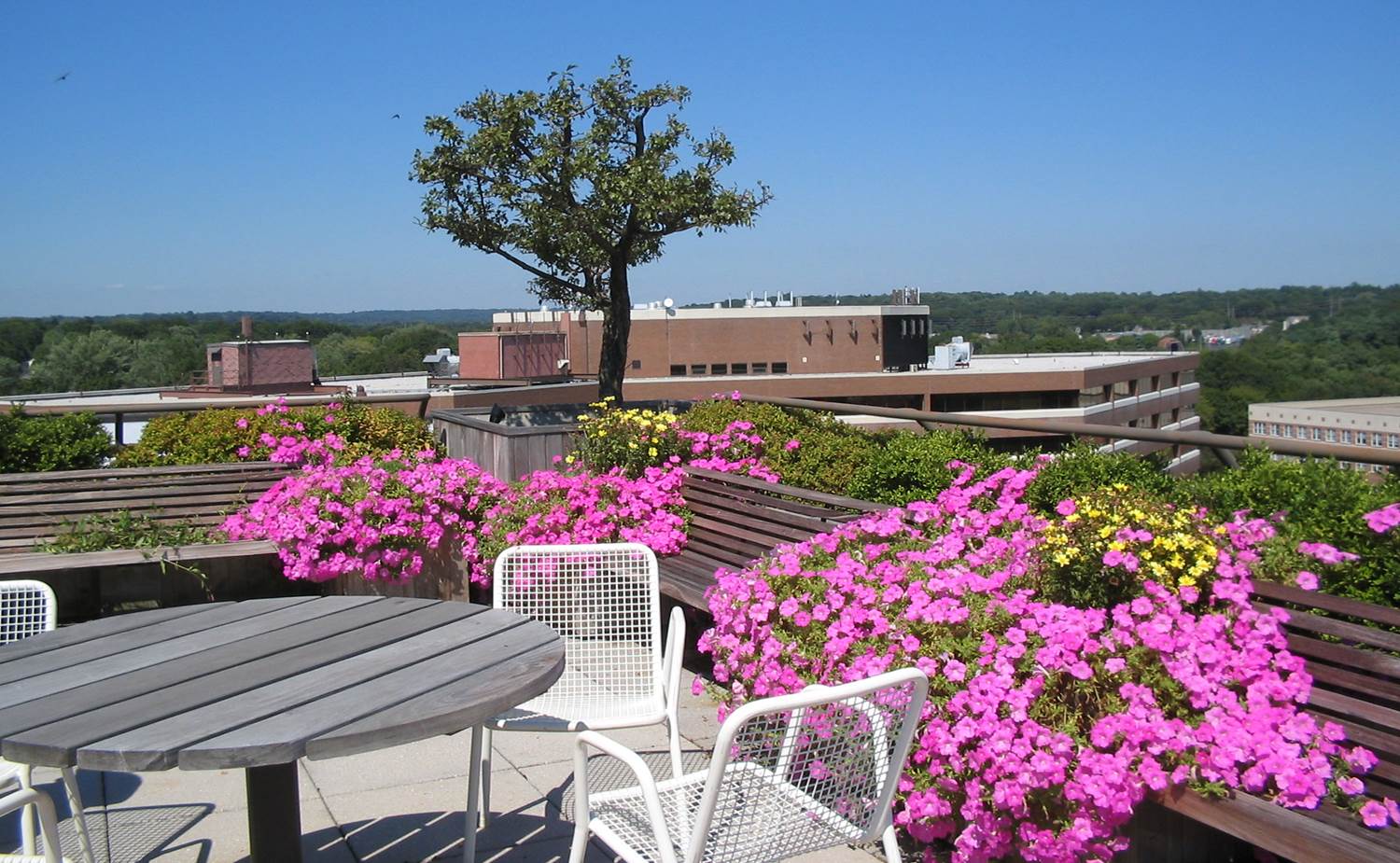 Property reviews and landscaping in CT