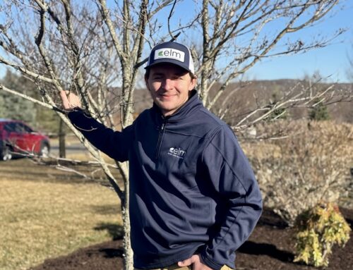 Davis Foster Joins Eastern Land Management as Division Manager