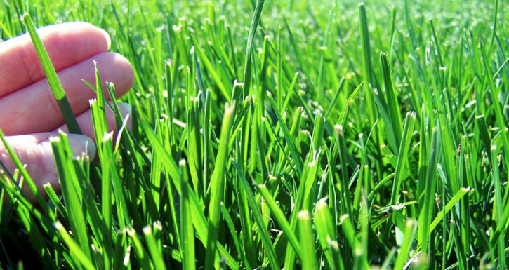 Screen Shot 2017-04-19 at 9.05.09 PM