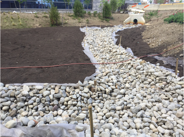 Screen Shot 2017-08-01 at 8.37.50 PM