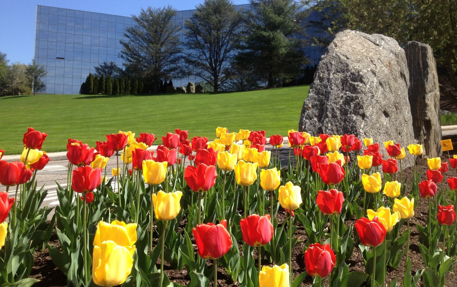 Seasonal Commercial Landscaping in CT