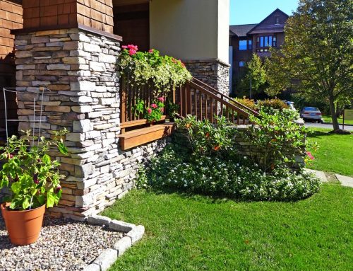 How to take charge of your landscape?