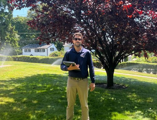 Meet Chak Hamra, ELM’s Irrigation & Construction Lead