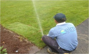 irrigation