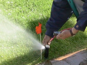 irrigation pop up