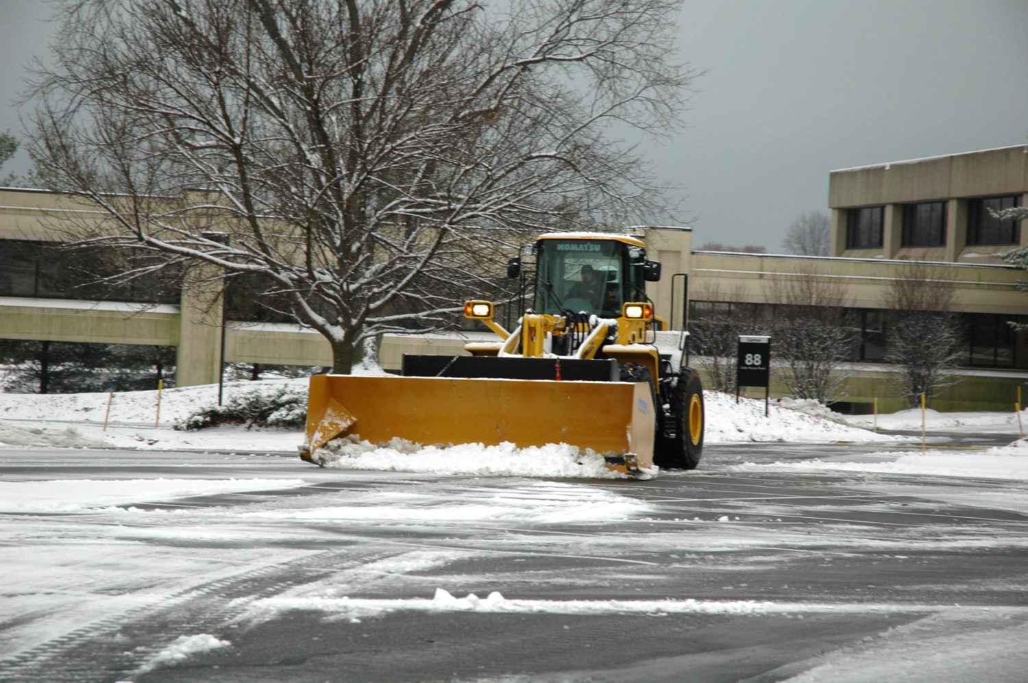 snow snow, winter forecast