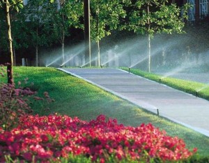 sprinklers