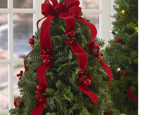 Tips on how to care for your cut tree