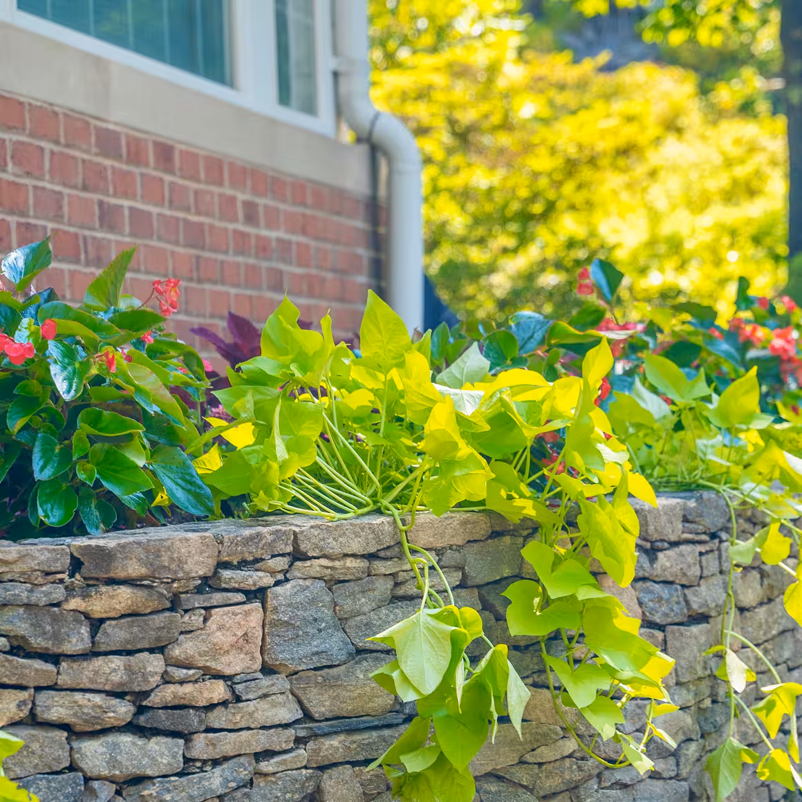 elm-advantage-amenities-flowers